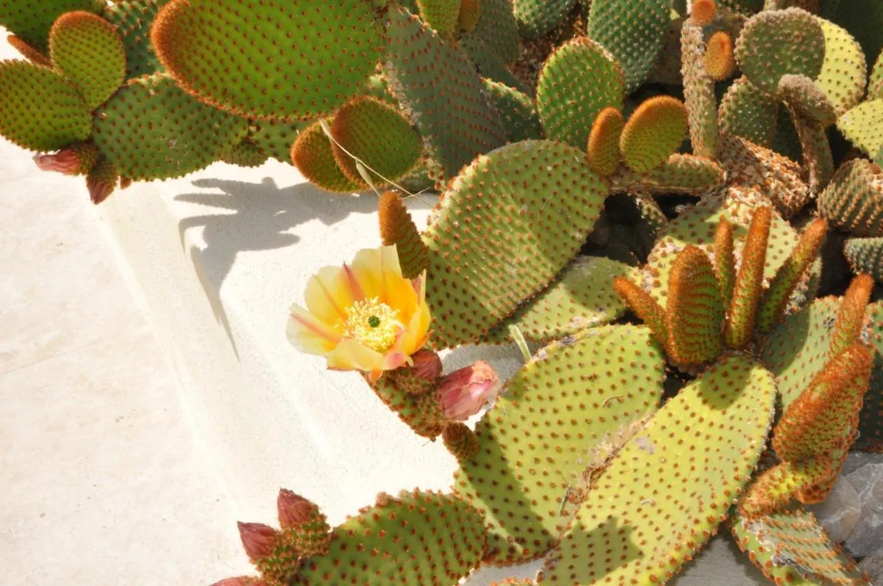 Les Terrasses De La Roque-Alric Holiday home