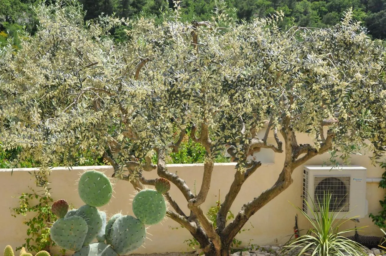 Les Terrasses De La Roque-Alric Holiday home France