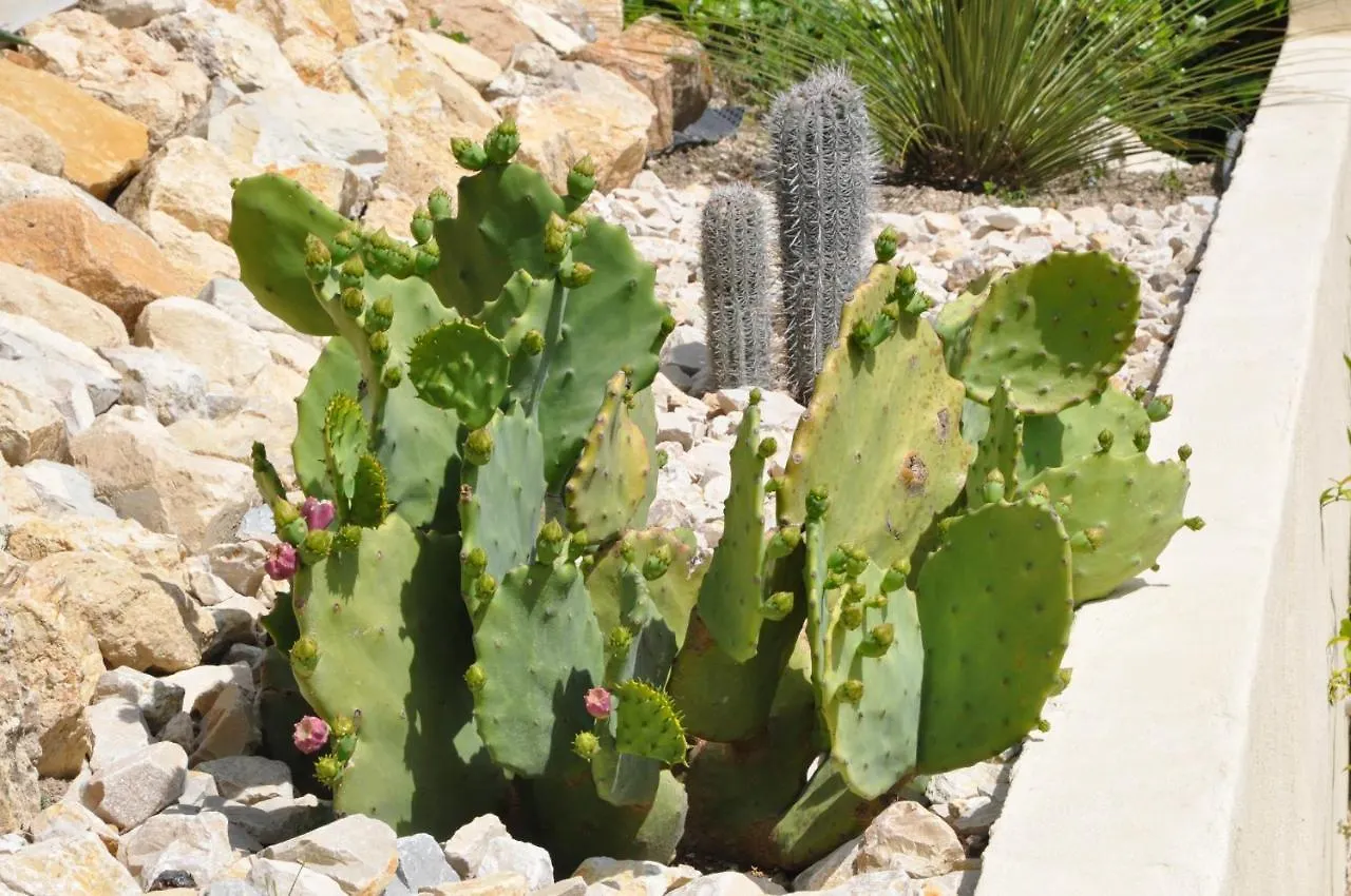 Les Terrasses De La Roque-Alric Holiday home